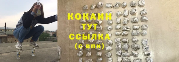 шишки Беломорск