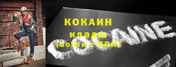шишки Беломорск