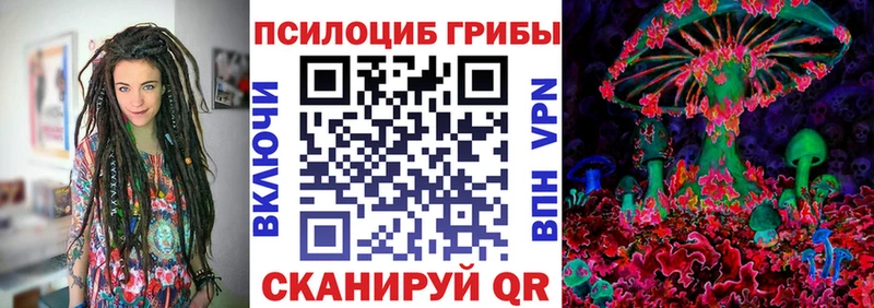 Псилоцибиновые грибы прущие грибы  Озёры 